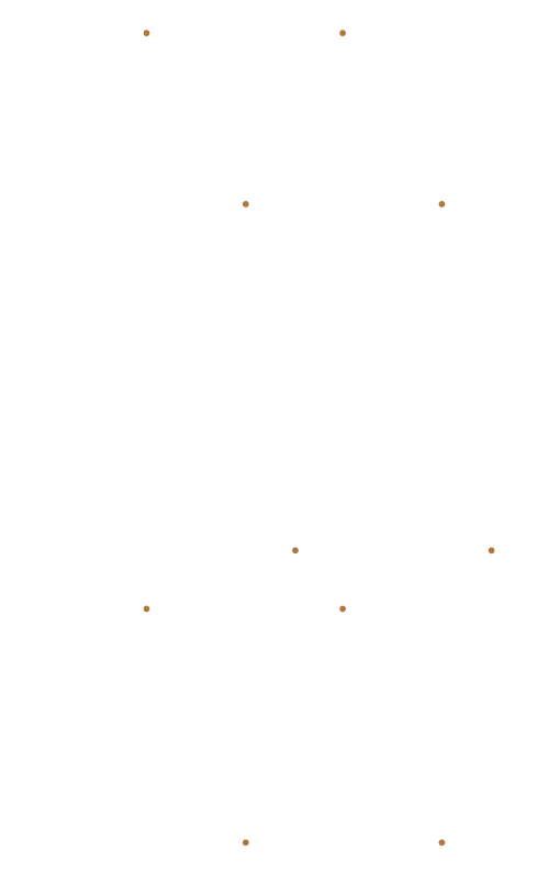 Vertical pattern of white and brown dots on a black background.